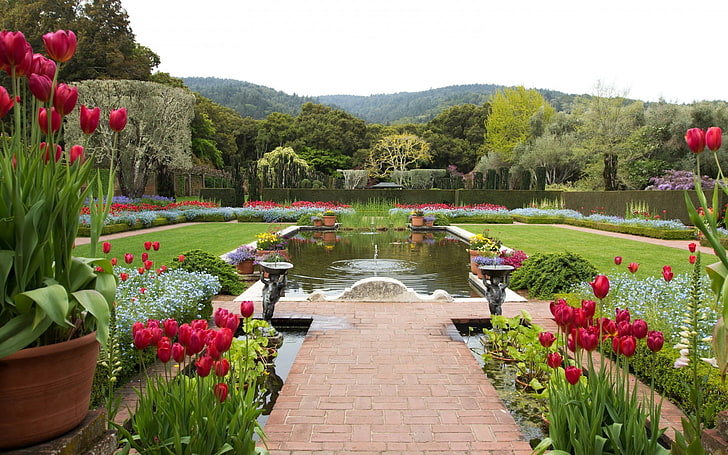 HD wallpaper: flowers, park, garden, plants, California, Fioli (California)  | Wallpaper Flare