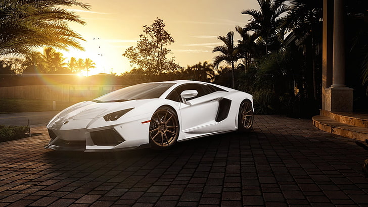 white Lamborghini Aventador, LP-700, sunlight, car, mode of transportation