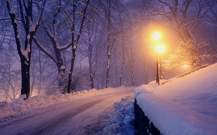 Nature, Landscape, Lanterns, Winter, Park, Snow, Trees, Lights, Road, Cold, HD wallpaper