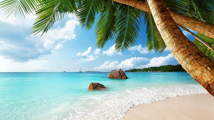 tropical, palm trees, beach, landscape, clouds, sea, Seychelles, HD wallpaper