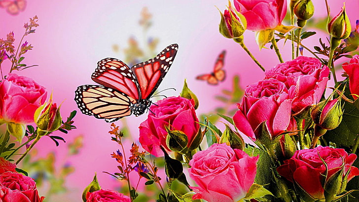 HD wallpaper: rose, roses, butterfly, dreamy | Wallpaper Flare