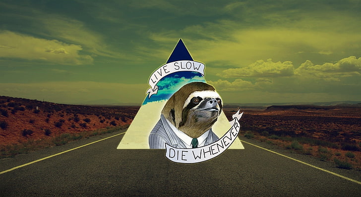 Live Slow Die Whenever, Live Slow Die Whenever sloth logo, Funny