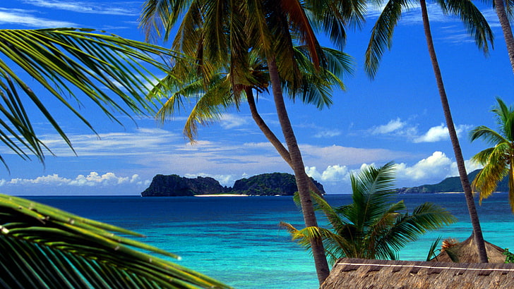 nature, turquoise, beach, sea, true laurel, water, travel, tropical, HD wallpaper