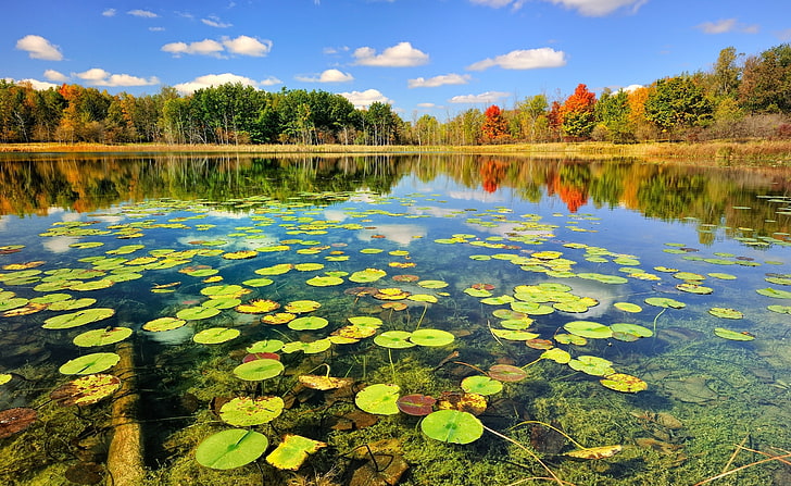 Beautiful Lake Scenery, Autumn, body of water, Nature, Lakes, HD wallpaper