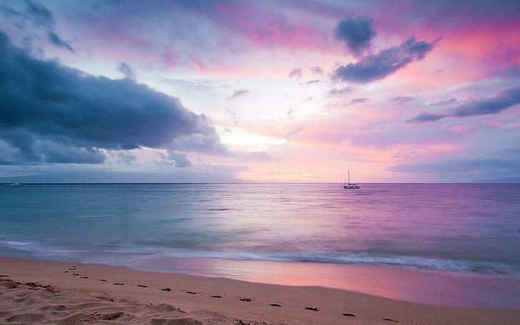 Blissful purple sunset, blue beach, beaches, 2560x1600, sailing, HD wallpaper