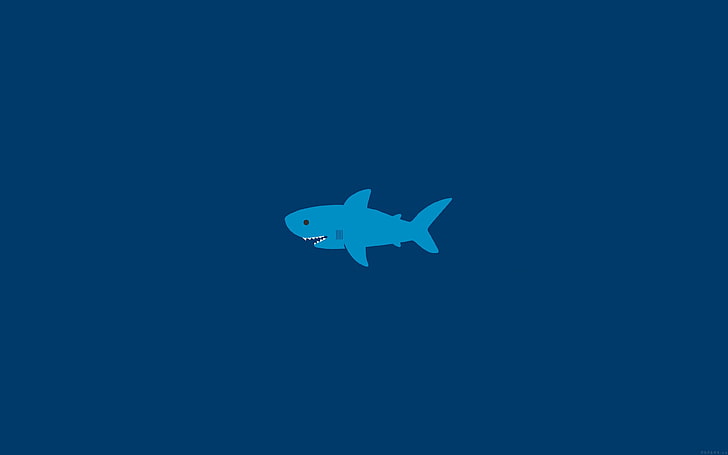 little, small, cute, shark, minimal, blue, copy space, no people, HD wallpaper