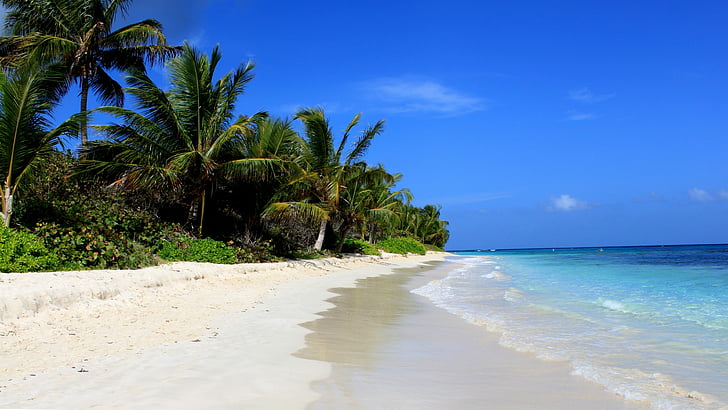 Flamenco Beach, Culebra, Puerto Rico, palms, Best beaches of 2016