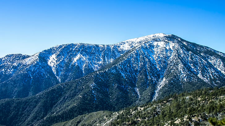 leaved trees on mountain during daytime, angeles national forest, angeles national forest, HD wallpaper