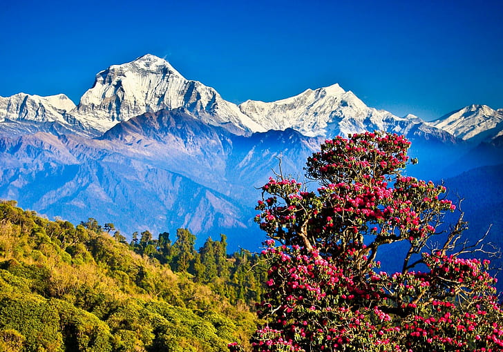 Nepal, Himalayas, mountains, nature, landscape, clear sky, hills, HD wallpaper
