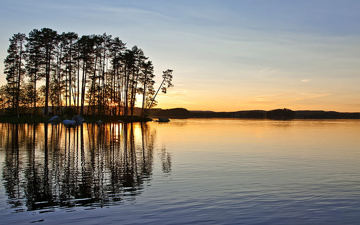 tree silhouette, lake, sunset, water, reflection, sunlight, trees, HD wallpaper