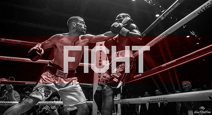 black, boxing, Jake Gyllenhaal, movies, red, Southpaw (movie), HD wallpaper