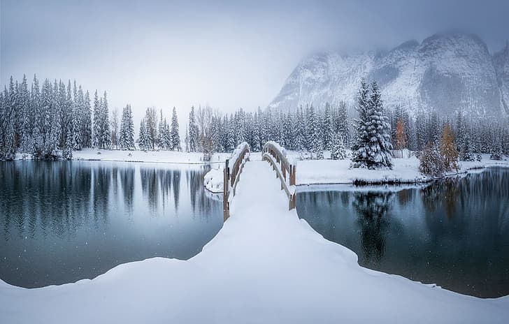 HD wallpaper: Canada, winter, snow, outdoors | Wallpaper Flare
