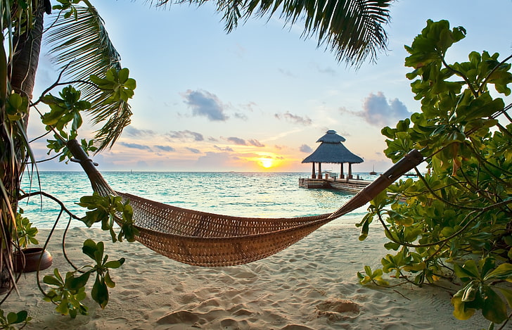 brown woven hammock, tropics, beach, sand, holiday, palm, sea