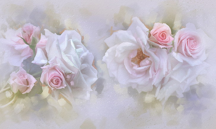 white and pink rose flowers, tenderness, roses, pastel, buds, HD wallpaper