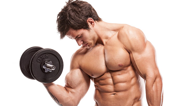 man holding barbell, Dumbbells, Six Pack, Fitness, Biceps, Male