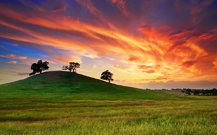 USA, California, spring sunset, grass, hill, trees, red sky, green grass field near trees during sunset