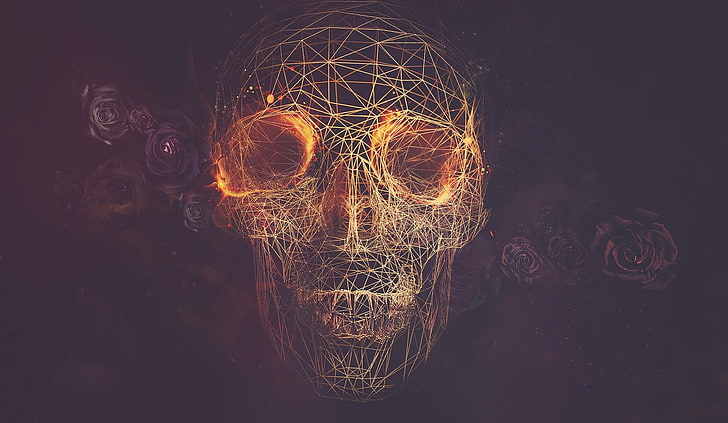 HD wallpaper: abstract skulls artwork lines roses my beautiful dark twisted  fantasy | Wallpaper Flare