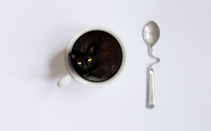 white ceramic mug with teaspoon, cat, spoons, cup, animals, studio shot, HD wallpaper