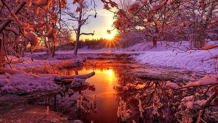 sunset, winter, landscape, sunray, forest, snow, trees, snowy