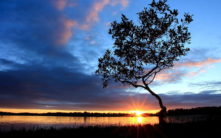 Beautiful nightfall scenery at river side, sunset, tree, sky, clouds, green and black leafed tree