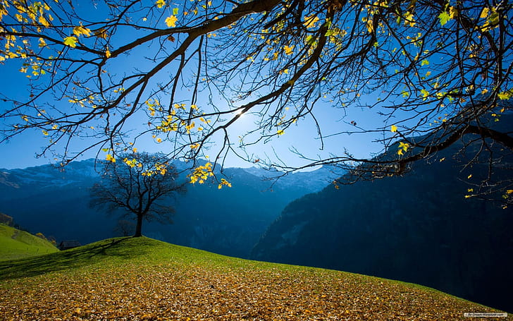 Beautiful natural scenery 1080P, 2K, 4K, 5K HD wallpapers free download |  Wallpaper Flare