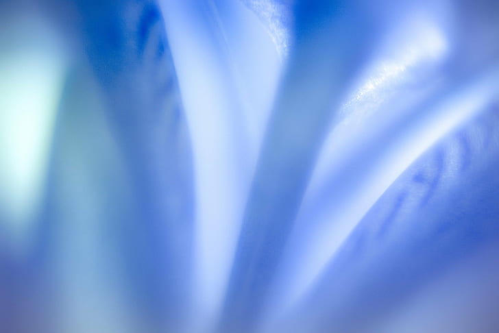blue and gray blurred photography, Lightness, Rêve, lumière, HD wallpaper