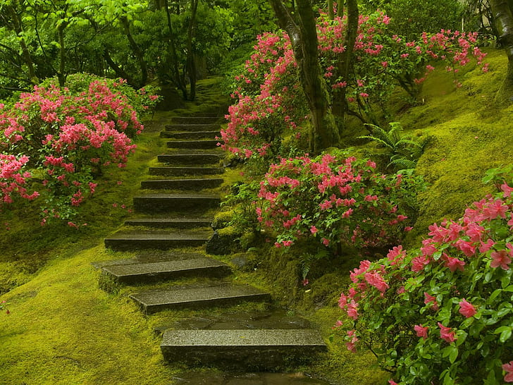 Japanese garden 1080P, 2K, 4K, 5K HD wallpapers free download | Wallpaper  Flare