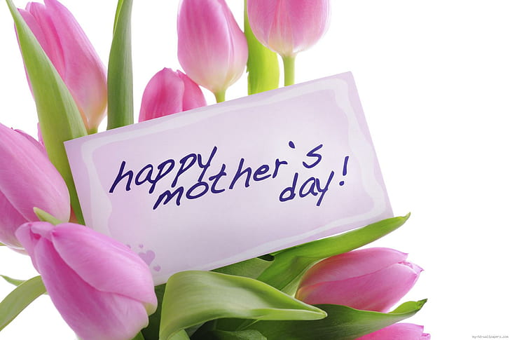 Pink Flowers for mom, happy mother's day print greeting card, HD wallpaper