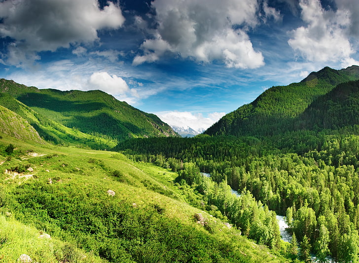 green lawn, trees, mountains, nature, river, landscape, forest