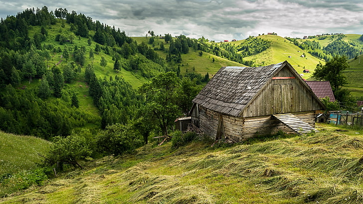 rolling hills, europe, romania, highland, hut, rural area, grassland, HD wallpaper