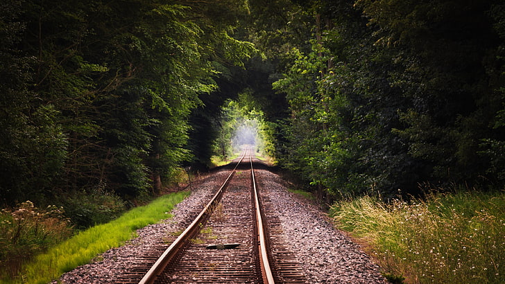 brown metal train rail, train rail track photography, railway, HD wallpaper