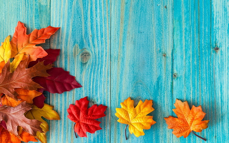 red and orange maple leaves, fallen leaves, red leaves, wood, HD wallpaper