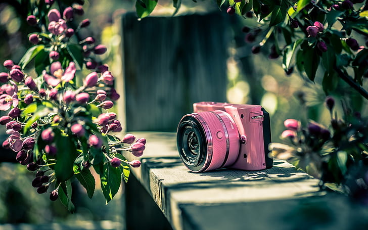 Nikon camera, pink, flowers, pink bridge camera