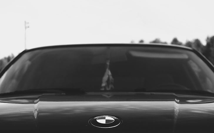 car, vehicle, BMW, BMW E34, monochrome, air fresheners, reflection