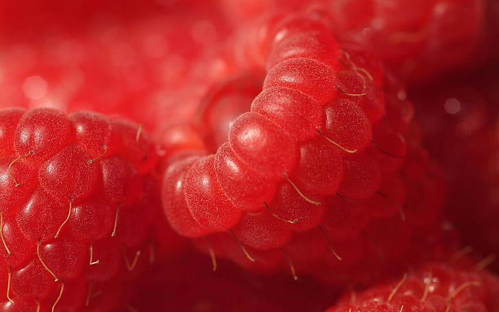 food, raspberries, fruit, macro, closeup, HD wallpaper