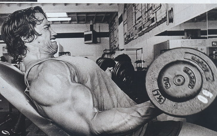 working out, bodybuilding, Arnold Schwarzenegger, barbell, Bodybuilder, HD wallpaper