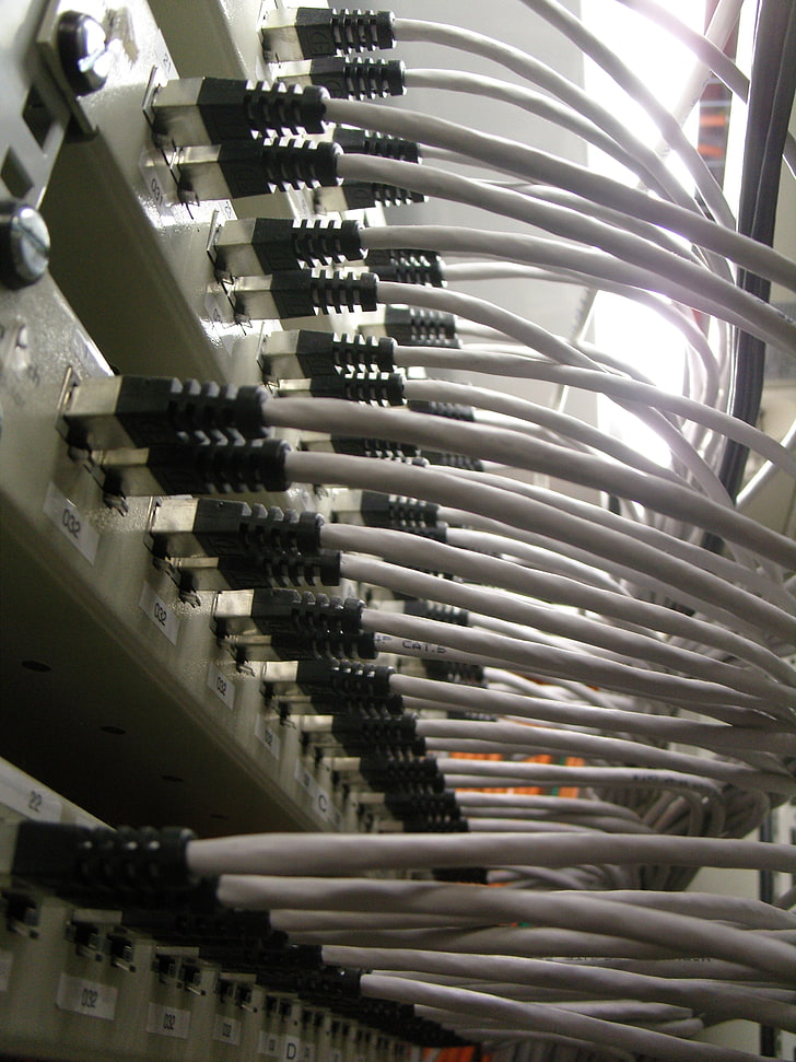 white cables, computer, network, ethernet, technology