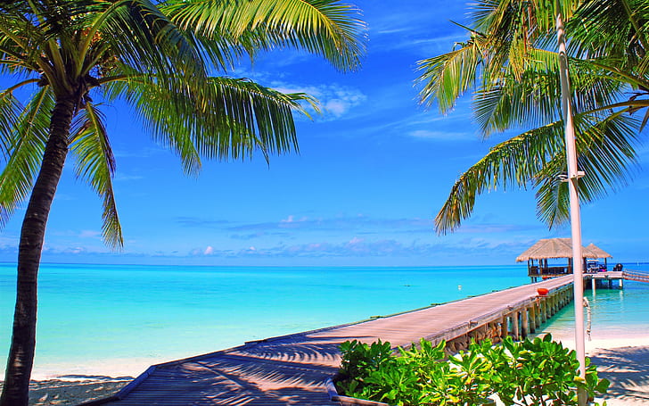Maldives, island, palm trees, bridge, bungalows, sea, ocean, HD wallpaper