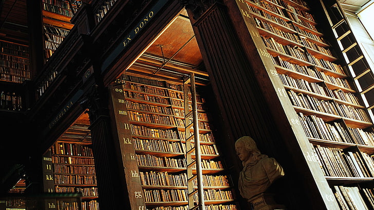 brown wooden bookshelf, wooden surface, library, Trinity College Library