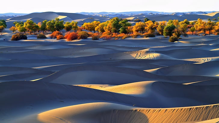 desert, landscape, nature