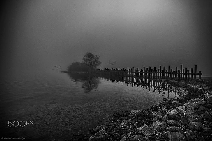 photography, nature, monochrome, water, fog, tree, sky, tranquility