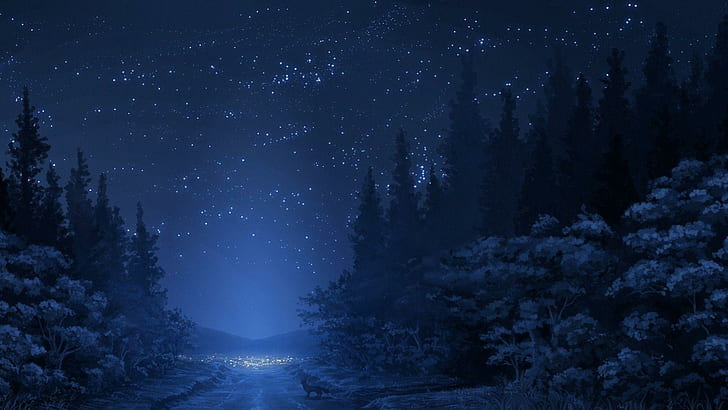 Blue Forest Night, drawings, forests, foxes, path, stars, trees