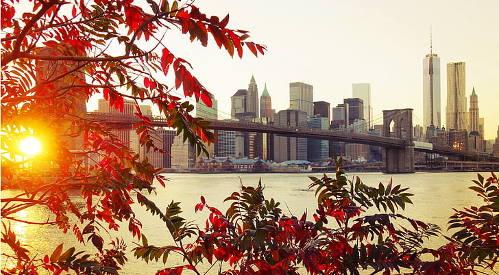 Brooklyn Bridge, New York, red leaves and Brooklyn Bridge, fall