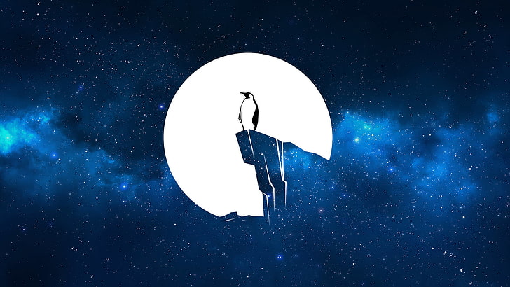 penguin standing on cliff wallpaper, vector, galaxy, universe