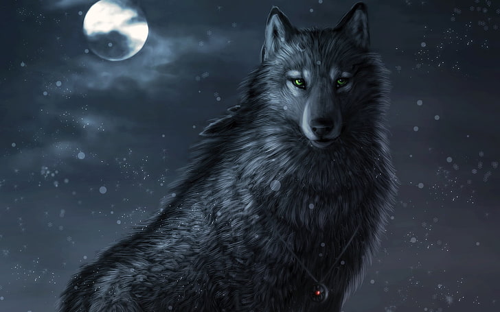 gray wolf illustration, snow, night, the moon, amulet, art, green eyes, HD wallpaper