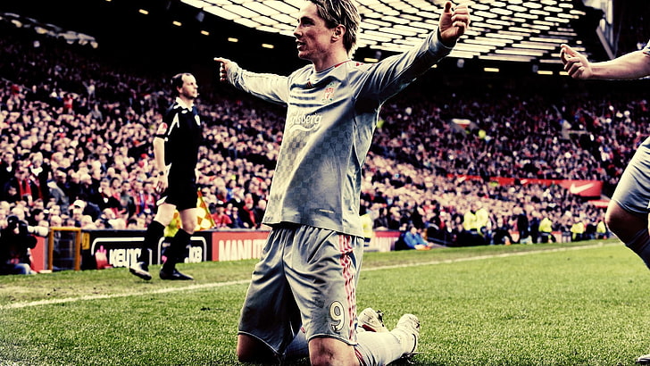 Fernando Torres, Liverpool FC, crowd, sport, grass, spectator, HD wallpaper