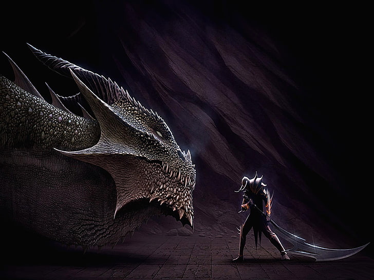 soldier holding sword standing in front of black dragon digital wallpaper, HD wallpaper