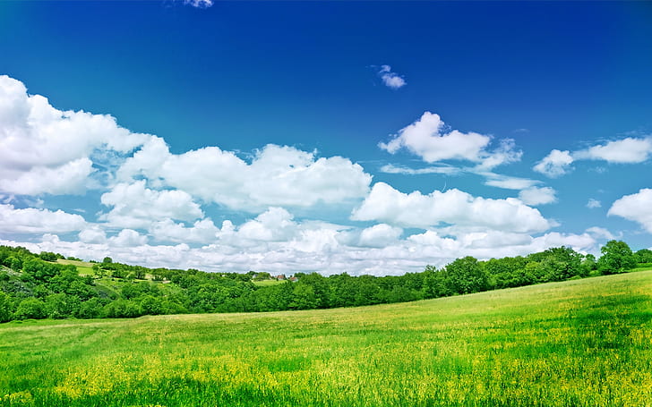 nature, landscape, greenery, field, clouds, sky