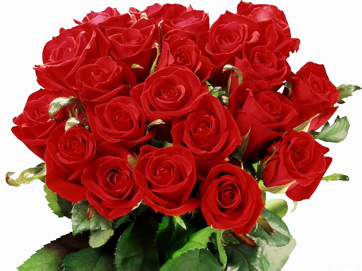 red roses, flowers, bouquet, elegant, rose - Flower, love, petal, HD wallpaper