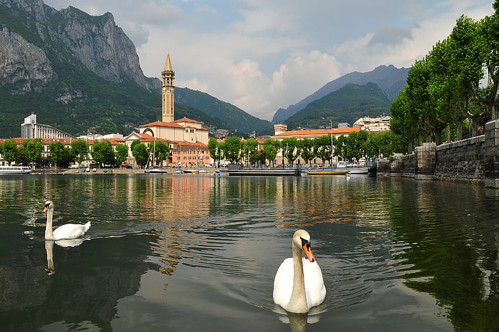 white swans, the sky, mountains, the city, Italy, lake Como, Lombardy